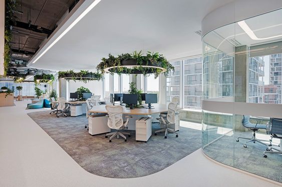 Mỗi bàn làm việc đều có cây xanh giúp nhân viên cảm thấy thoải mái